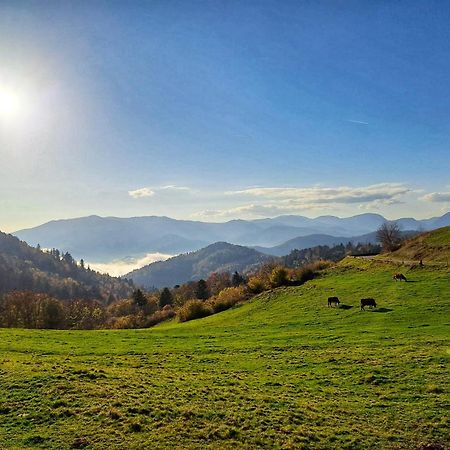 Chalet Notre Retraite Вантрон Екстер'єр фото