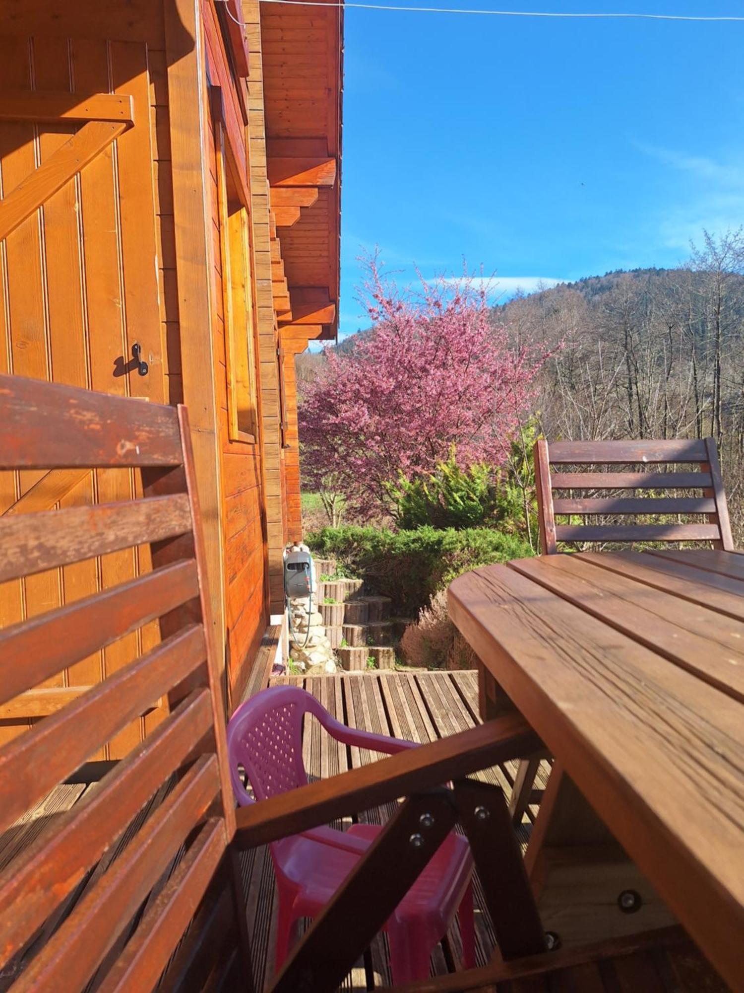 Chalet Notre Retraite Вантрон Екстер'єр фото