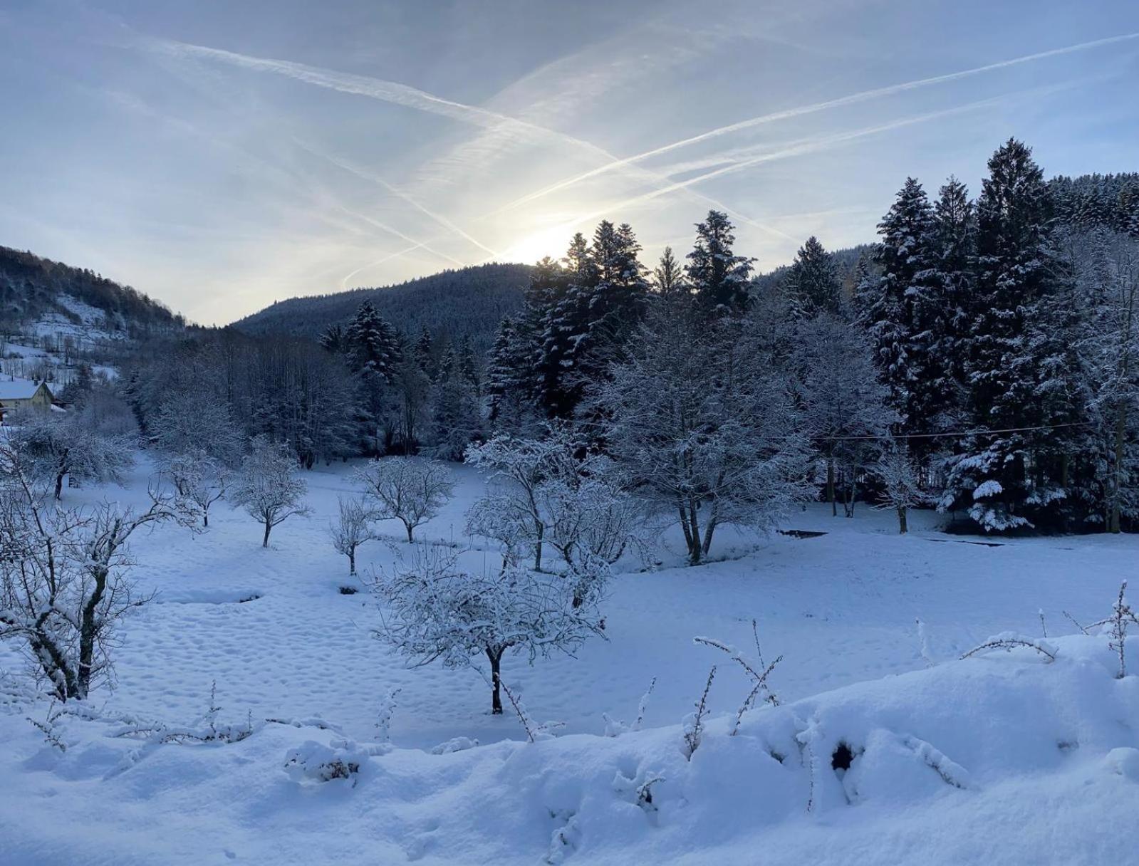 Chalet Notre Retraite Вантрон Екстер'єр фото