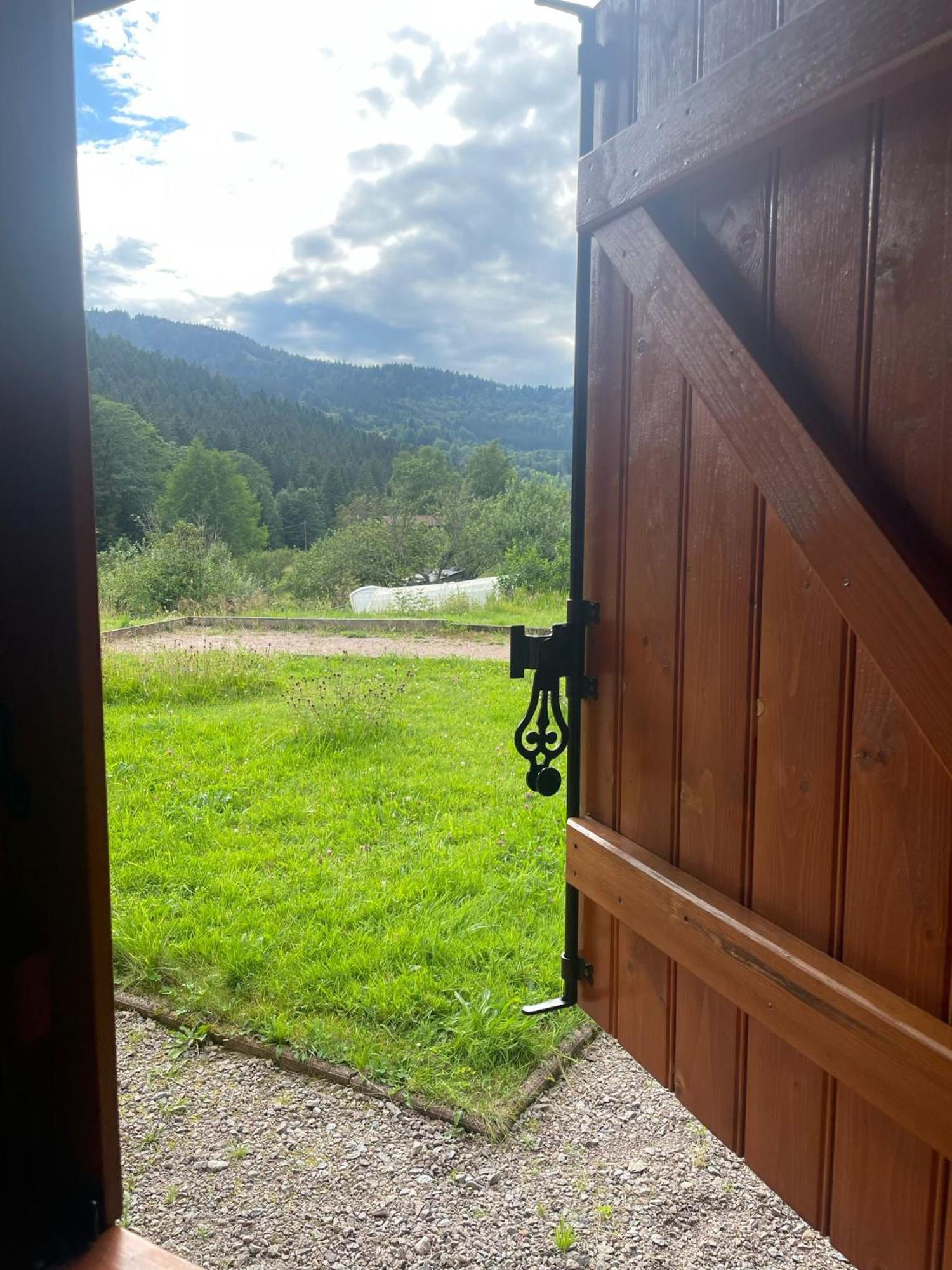 Chalet Notre Retraite Вантрон Екстер'єр фото