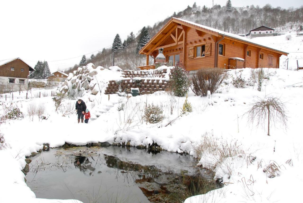 Chalet Notre Retraite Вантрон Екстер'єр фото